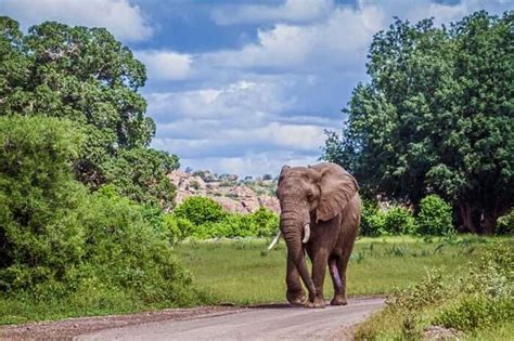 A Guide For Trekkers To Explore Mapungubwe National Park!