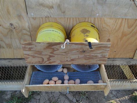 Randomness: Chicken Coop from Pallets