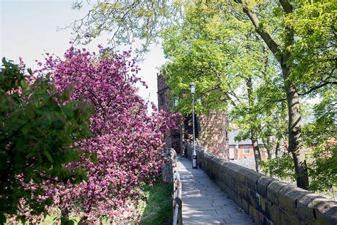 Walking Tour of Chester City Walls - British Travel Journal