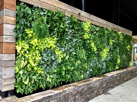 Who Installs Living Walls in San Diego? Greenleaf IPS.