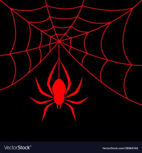 Red spider and spider web on black background Vector Image