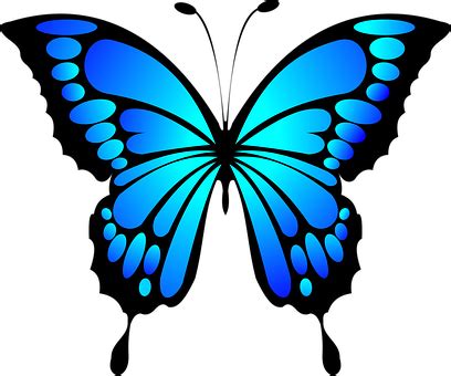 Download Blue Butterfly Vector Art | Wallpapers.com