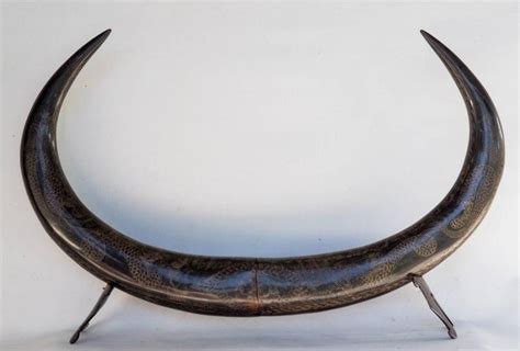 Eye-catching Indonesian Buffalo horns, finely engraved, on custom-stand ...