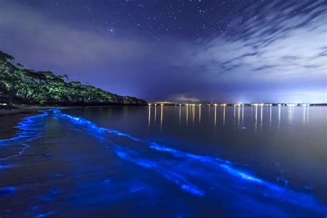 Something Beautiful And Supernatural Happened At A Beach In Australia | Viralscape