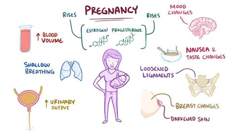 GTPAL: Pregnancy Outcomes Acronym | Osmosis