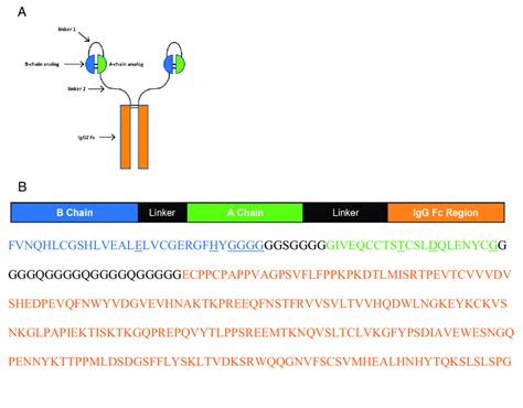 Structure of the homodimer (A) and primary sequence of a monomeric... | Download Scientific Diagram