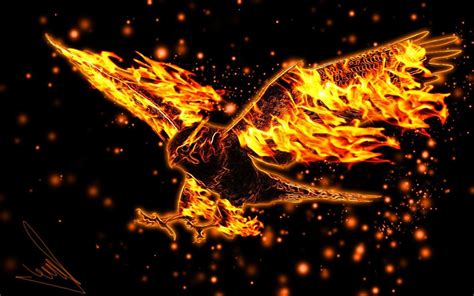 Fire Eagle Wallpapers - Top Free Fire Eagle Backgrounds - WallpaperAccess