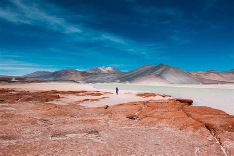 Fabulous tour in the Atacama Desert - Travel Coach Chile