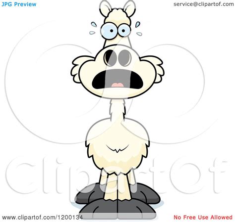 Cartoon of a Scared Llama - Royalty Free Vector Clipart by Cory Thoman #1200134