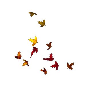 Leaves gif by firstlove50003010 | Photobucket | Autumn leaves ...