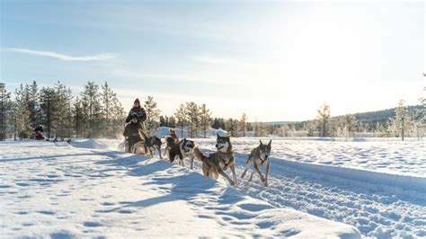 Ylläs - Top Travel Destination for All 8 Seasons - Discovering Finland