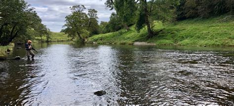 Fly Fishing On The River Wharfe, Burnsall, North Yorkshire - Mitre Angling Club