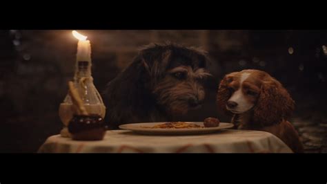 'Lady and the Tramp' 2019 remake trailer: Watch new look at Disney+ film - ABC7 San Francisco