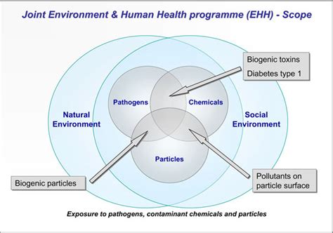 Diagram showing the scope of the Environment & Human Health Programme ...