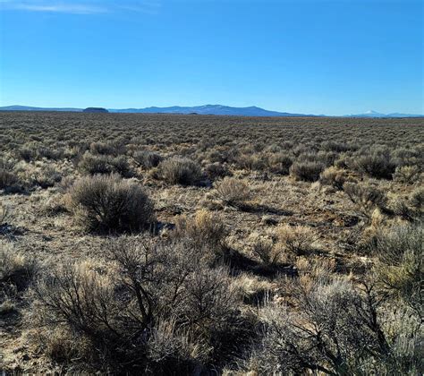 Wildlife encounters – Oregon Desert Land Trust