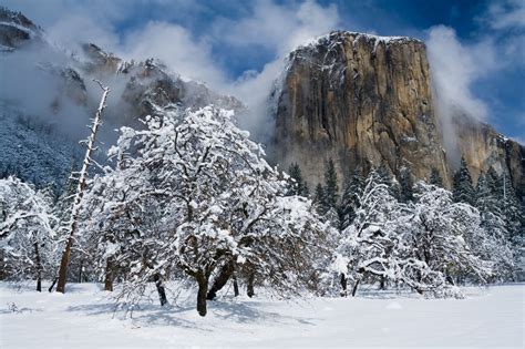 Yosemite Winter Tours | Yosemite Winter Activities - Yosemite Adventure Guides