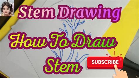 Stem Drawing how to draw stem @RabiLifestyle786 - YouTube