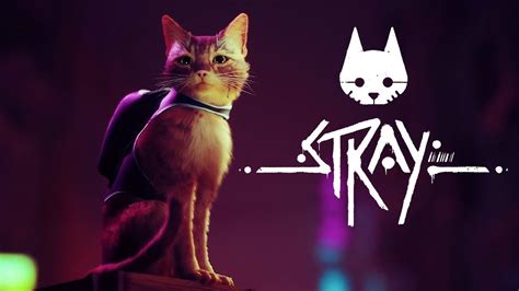 Stray Is “Still Coming Out This Year”, Publisher Confirms