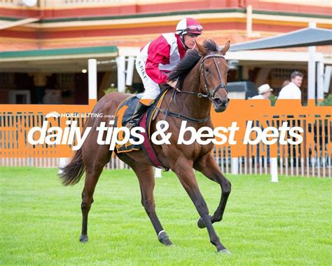 Today's Horse Racing Tips & Best Bets | November 29, 2021