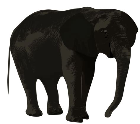 Clip Art Elephant Free Stock Photo - Public Domain Pictures