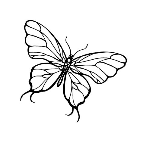 Line Drawing Of Butterfly at GetDrawings | Free download