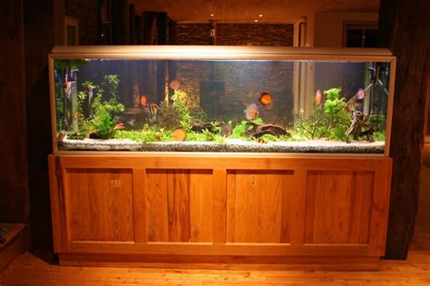55-Gallon Fish Tank: Our Top Five Choices - Aquariadise