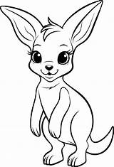 Kangaroo Coloring Sheet Printable Pages sketch template