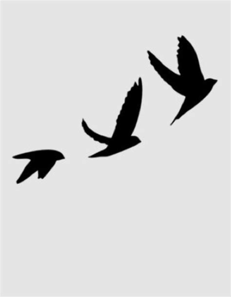 Bird Tattoo Men, Black Bird Tattoo, Birds Tattoo, Bird Silhouette Tattoos, Vogel Silhouette ...