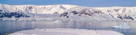 Best time to visit Antarctica | Intrepid Travel US