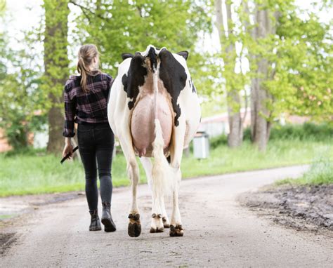 Young minds, big ideas: the vibrancy of our young breeders!