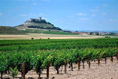 PRIVATE TOUR - Premium Ribera del Duero wine tour with lunch & hotel pick-up 2022 - Madrid