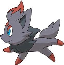 Pokemon Black and White: How To Get Zorua with Relocator | Pokezine