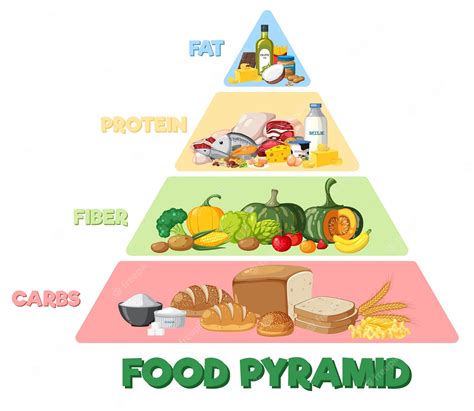 Premium Vector | Food nutrition groups pyramid