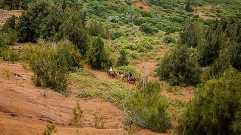 Best Things to Do in Lanai – Four Seasons Lanai, Hawaii