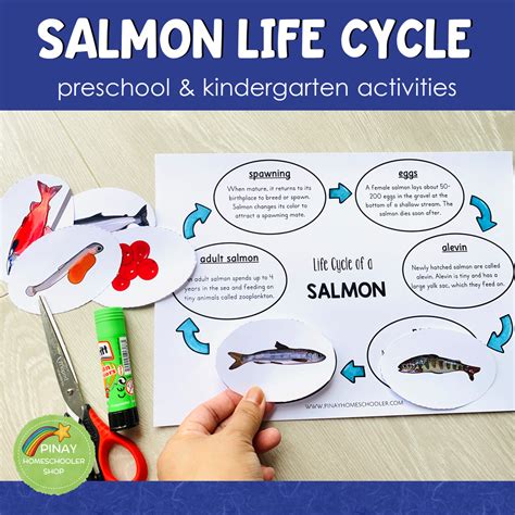 Salmon Life Cycle Activity Set – Pinay Homeschooler Shop