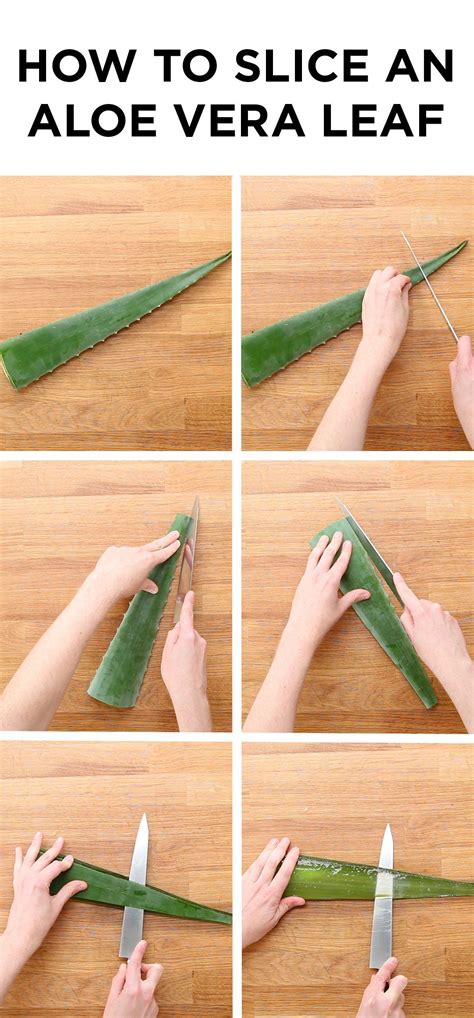 Here's How To Slice An Aloe Vera Leaf | Aloe vera leaf, Aloe vera skin care, Aloe plant