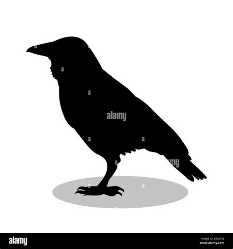 Raven bird black silhouette animal. Vector Illustrator Stock Vector ...