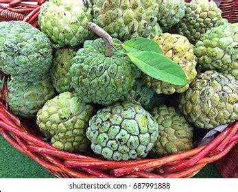 271 Custard Apple Varieties Images, Stock Photos & Vectors | Shutterstock