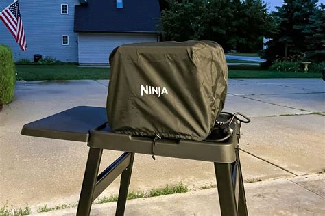 Ninja Woodfire 8-in-1 Outdoor Oven Review - We Tried It!