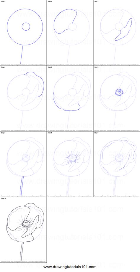 How to Draw Poppy Flower Printable Drawing Sheet by DrawingTutorials101 ...