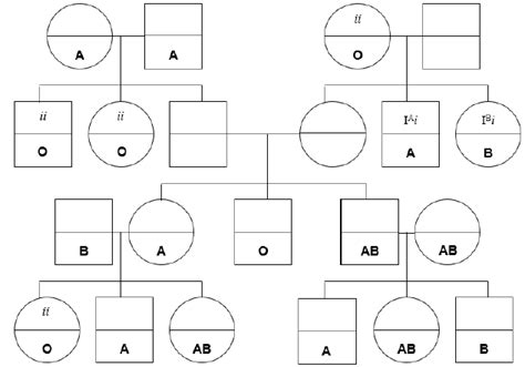 The following pedigree is for the ABO blood type group, which is ...