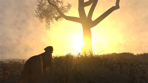 Dog simulator by Joshua Gillespie