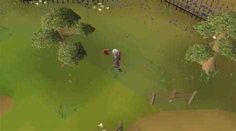 OSRS: What’s The Best Yew Tree Spot? (F2P + P2P) – FandomSpot