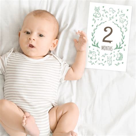PRINTABLE Woodland Baby Milestone Cards Hand-drawn Gender Neutral ...
