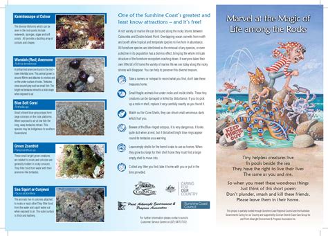 Sunshine Coast Rockpool Guide - Ocean Life Education