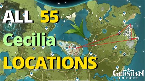 ALL 55 CECILIA LOCATIONS | Complete Guide & Farming Route | GENSHIN ...