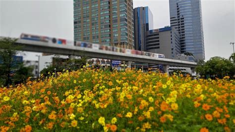 Bangkok to plant flower gardens in public parks - Bangkok News ...