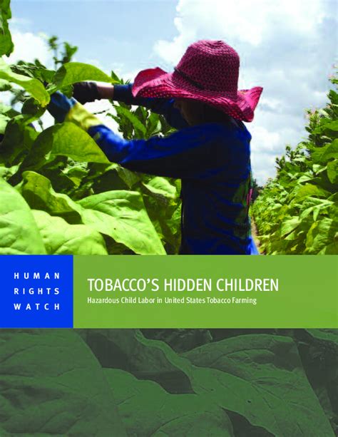Tobacco’s Hidden Children: Hazardous child labor in United States tobacco farming | Save the ...
