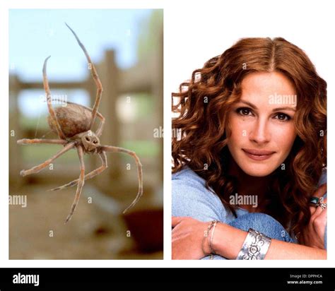 Julia roberts charlottes web film Cut Out Stock Images & Pictures - Alamy