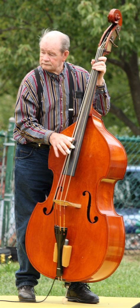 File:Man Playing Stand-Up Bass.jpg - Wikimedia Commons